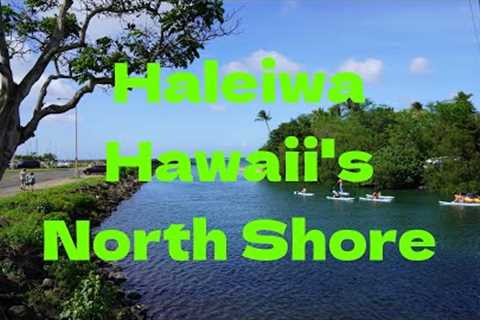 What to do in Oahu Hawaii- Check out the North Shore and Haleiwa!