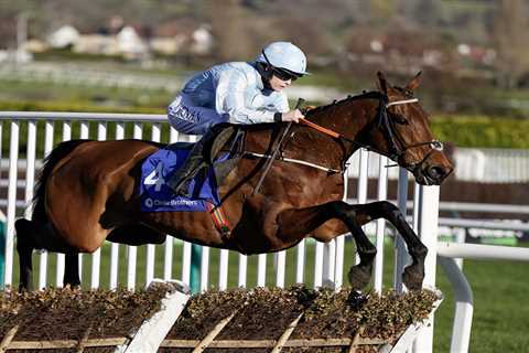 Watch emotional moment Honeysuckle leaves Henry de Bromhead yard for final time as retired life..