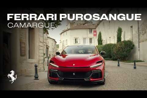 The Ferrari Purosangue - an experience unlike any other