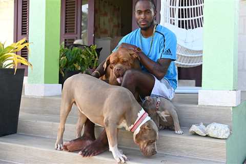 England cricket star Jofra Archer ‘had the best time being injured’ and reveals he bought FIVE dogs ..