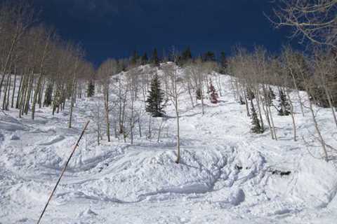 Tips For Skiing Trees Safely and Effectively