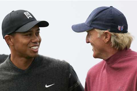 Greg Norman calls Tiger Woods a ‘mouthpiece for the PGA Tour’ after golf icon urged LIV Golf chief..