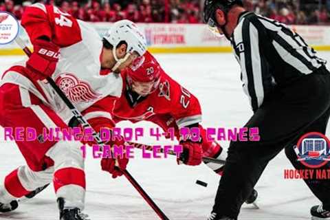 Red Wings drop 4-1 decision to Hurricanes