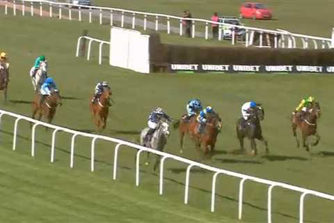 Punters all say they’ve ‘never seen anything like it’ after witnessing 999-1 in-running horse
