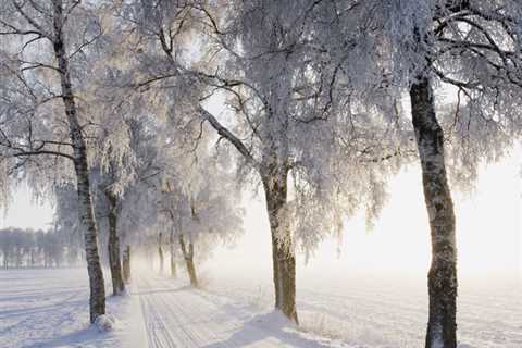 Romantic Winter Cabins With Cozy Fireplaces and Snowy Views