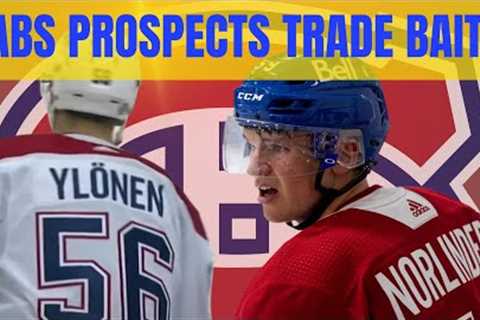 MONTREAL CANADIENS PROSPECTS TRADE BAIT