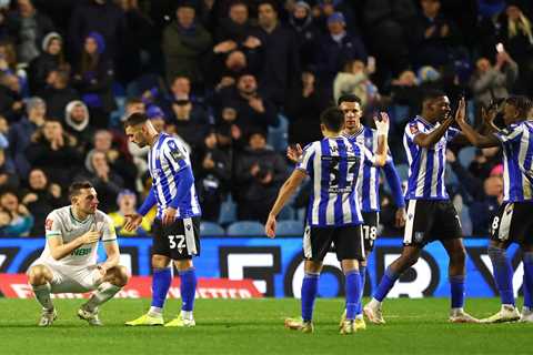 Dele-Bashiru leaves? Stars stay? What to expect from Sheffield Wednesday’s retained list this summer