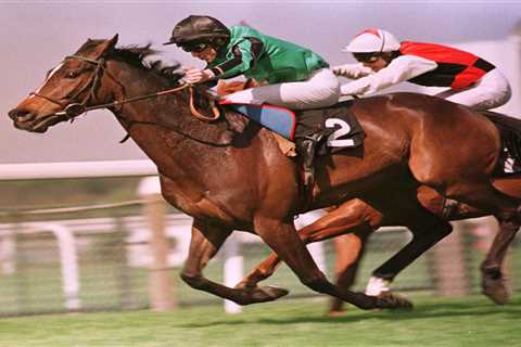 Legendary Gold Cup winner and fan favourite horse Celeric dies aged 31