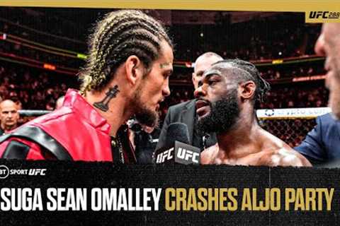 Suga Sean O'Malley storms UFC Octagon to crash the party  #UFC288 Aljamain Sterling v Henry Cejudo