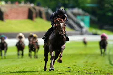 Punters left totally floored as jockeys ‘give up with half a mile to go’ in ‘unusual’ race