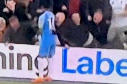 Man Utd youngster Amad Diallo ‘punched’ by Luton fan during play-off as footage emerges