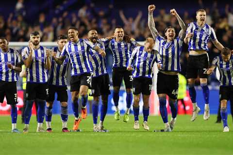 Sheffield Wednesday fan who ripped up his ticket after team lost 4-0 in first leg goes viral after..