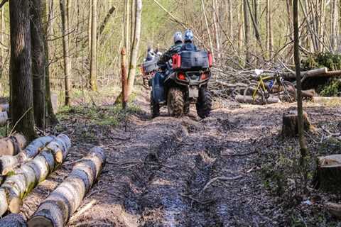 Exploring Wooded Terrain with an All-Terrain Vehicle (ATV)