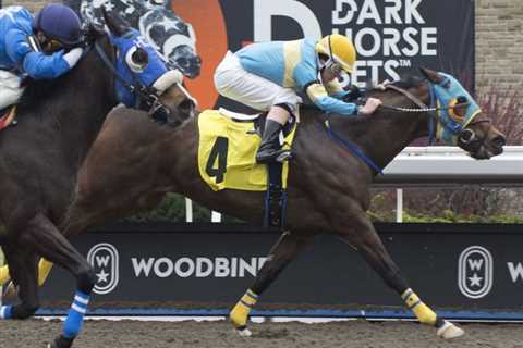 Jockey Amanda Vandermeersch Wearing Her Heart On Her Sleeve At Woodbine – Horse Racing News