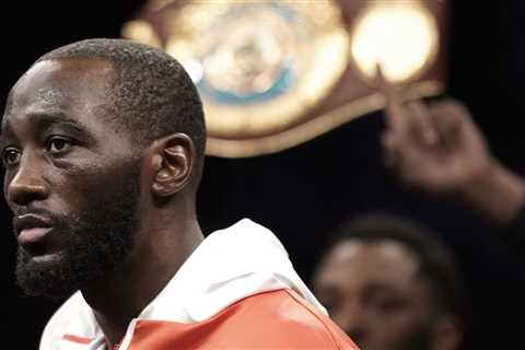 Terence Crawford warns Francis Ngannou about boxing Deontay Wilder: ‘If he hits you, you’re going..