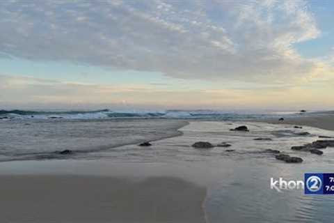 Huge surf exposes rare petroglyphs on Oahu’s North Shore