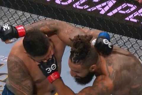 UFC fight abandoned after star suffers horror eye injury and thought it had been RIPPED OUT by rival