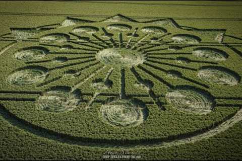 NEW Crop Circle | 25 June 2023 | Owslebury, Winchester, Hampshire | Crop Circles From The Air