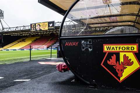 Watford FC physio Phil Edwards ‘carried out horrifying sex attacks on 29 teen boys at club’, report ..