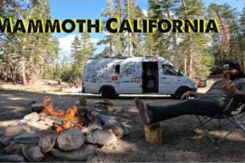 Camping and snowboarding in Mammoth California