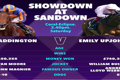 Titanic racing battle with £750,000 on the line ready to rock Sandown as Paddington tackles Emily..