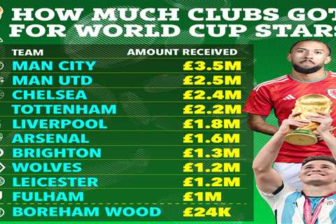 Man City, Man Utd and Chelsea pocketed millions for releasing World Cup stars – and even Boreham..