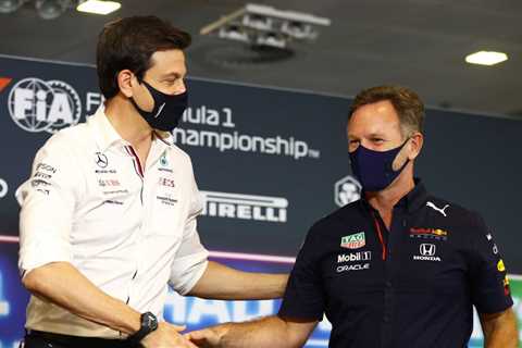 Toto Wolff and Christian Horner’s eye-watering salaries tower over new F1 team bosses |  F1 | ..