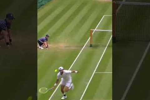 ألكاراز في قمة الإبداع 🤩    #Wimbledon