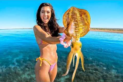 Giant Tiger Squid Catch And Cook