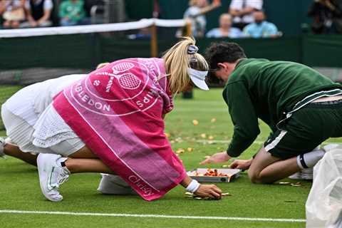 Wimbledon forced to remove harmless item from shelves during tournament because of eco-idiots