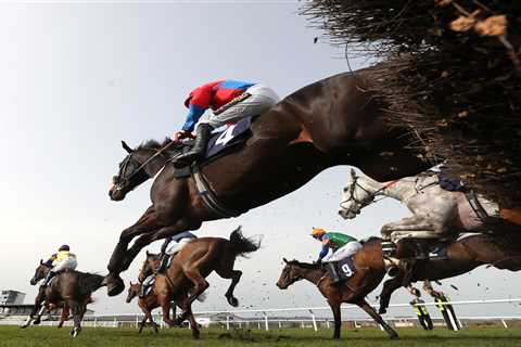 Horse racing bonus: Bet £20 on racing and get it back as CASH if it loses with Paddy Power