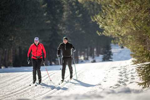 Skiing and Cross-Country Skiing