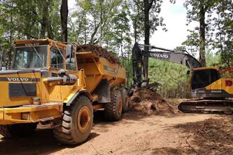 Last Trees To Take Down On Lot 2 And Grading For Road