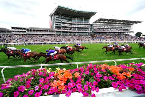 York Ebor Festival Welcomes Back World Pool and Offers £250k Placepot