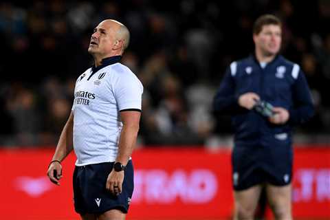 who is the referee for France vs New Zealand? TMO and assistants confirmed