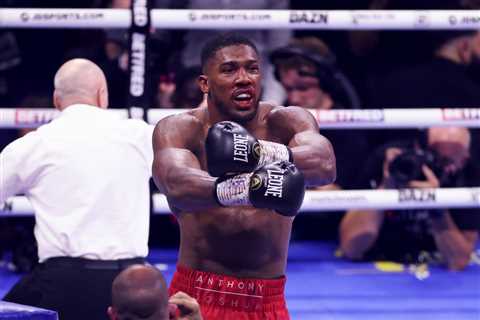 Deontay Wilder’s coach raises doubts on Anthony Joshua fight after alleged agreement