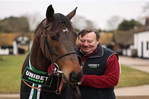 Nicky Henderson Provides Constitution Hill Update: Chasing Ruled Out