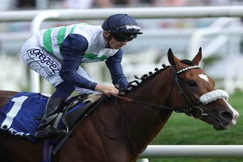 Doncaster Races: Sea The Stars Filly Hopes to Shine at St Leger Festival