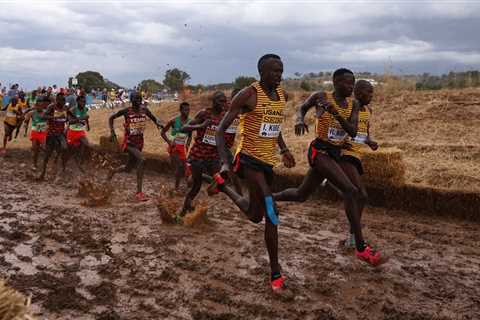 World Cross Country Champs in limbo