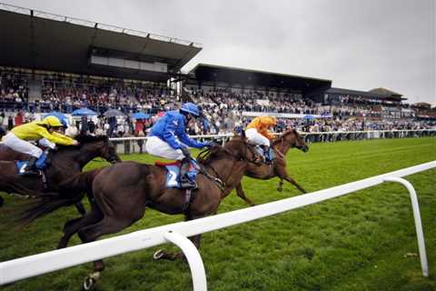 ‘Always go low’ – three horses with a vital low draw at Beverley on Tuesday 🏇