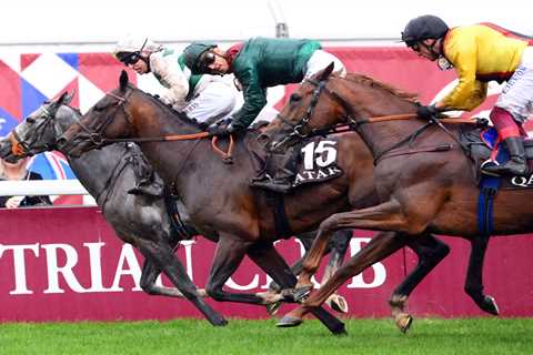 Prix de l’Arc de Triomphe horse numbers 2023 – full list of runners for huge Paris showpiece