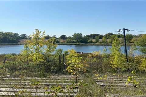 Abandoned Speedway Track in Minnesota Overgrown and Submerged After Nature Takes Over Following..