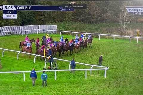 'Appalling' Moment Racegoer is Run Over by Horses at Start of Shambolic Carlisle Race