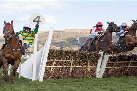 JP McManus Horse Looks Promising at Cheltenham Festival