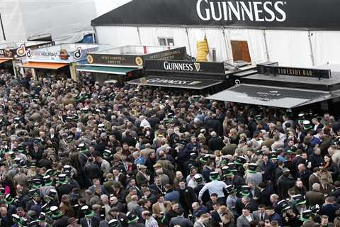 Cheltenham Races Guinness Pints 'More Expensive Than London' But Punters Relieved as Prices Stay..