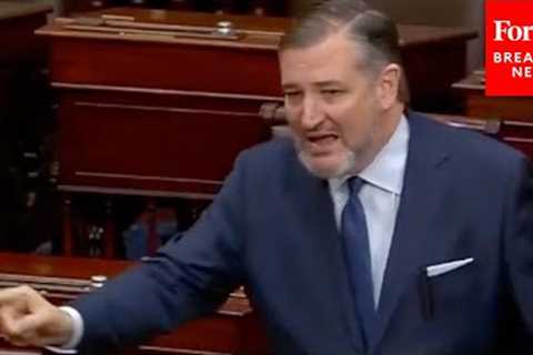 ''I Felt Like I Was Alice In Wonderland!'': Ted Cruz Explodes At Democrats Over USDA Gender Rule