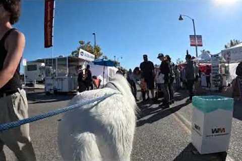 Lt. Rowdy attends Simi Valley Street Fair 2023 1 of 12  102823