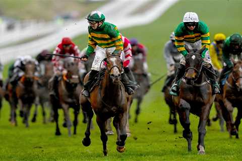 Templegate's Top Ten Horses to Watch in the Tote Ten to Follow