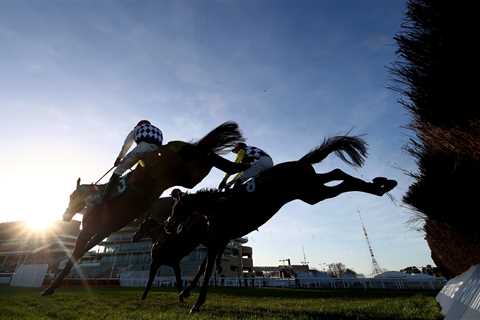 Templegate’s Tote Placepot Picks for Cheltenham’s November Meeting Day One on Friday