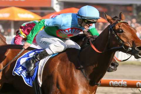 Tuvalu Tops 2023 Railway Stakes Field & Betting Markets in Perth